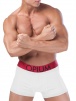 Мужские трусы-боксеры OPIUM R78 (Белый) фото превью 1