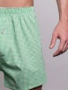 Мужские трусы-шорты SERGIO DALLINI (Зеленый) фото превью 2
