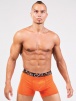 Мужские трусы-боксеры OPIUM R118 (Оранжевый) фото превью 3
