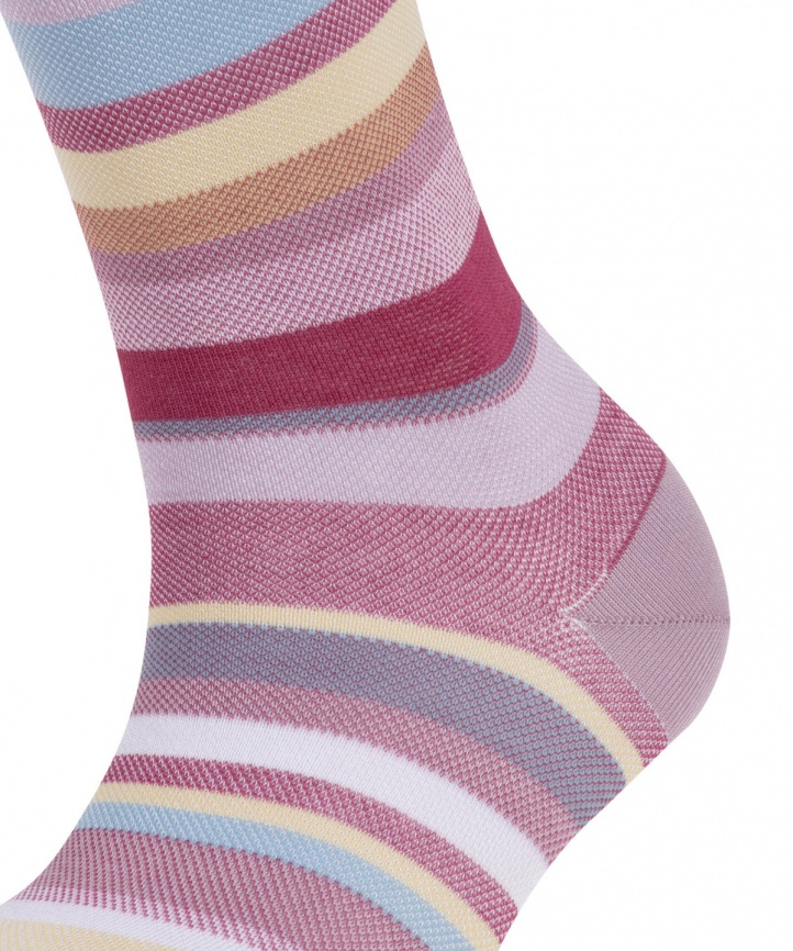 Носки женские FALKE Steady Stripe (Сиреневый) фото 3