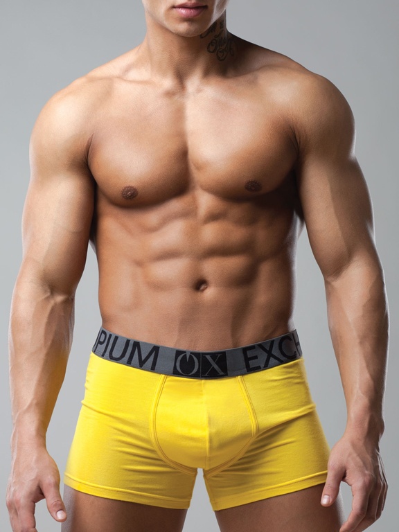 Мужские трусы-боксеры OPIUM R54 (Желтый) фото 1