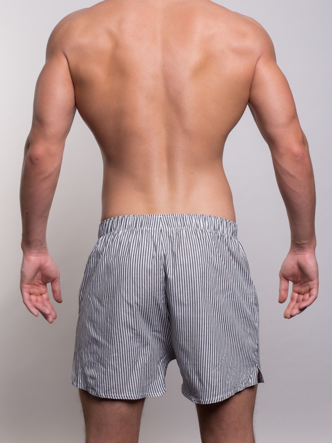 Мужские трусы-шорты SERGIO DALLINI (Серый) фото 3